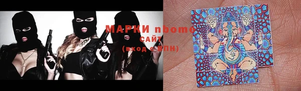 дмт Инта