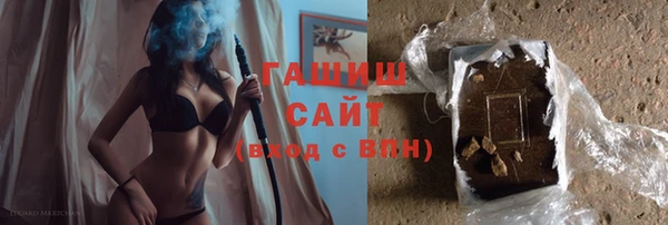 мдпв Каменка