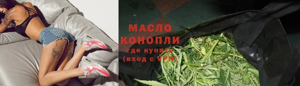 мдпв Каменка