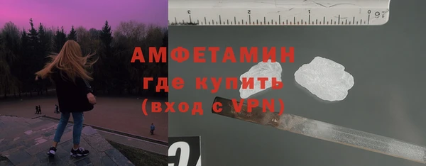 дмт Инта