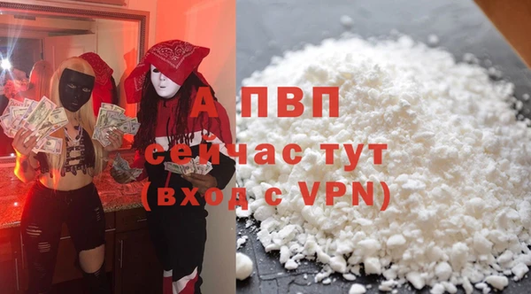 мдпв Каменка