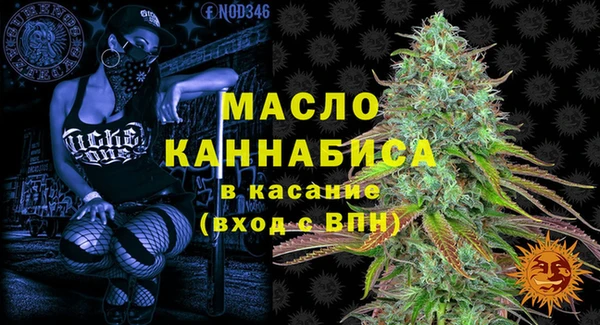 мдпв Каменка