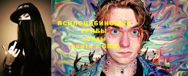 дмт Инта