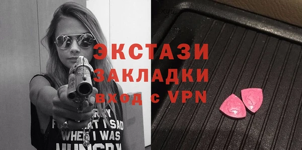 дмт Инта