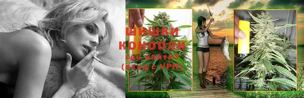 мдпв Каменка