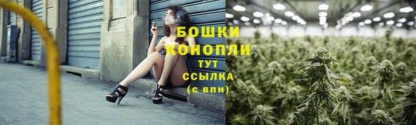 дмт Инта