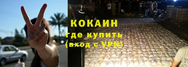 дмт Инта