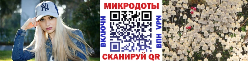 Псилоцибиновые грибы Psilocybine cubensis  МЕГА tor  Щёлково 